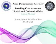 Virtual Meeting of APA Standing Committee on Social and Cultural Affairs